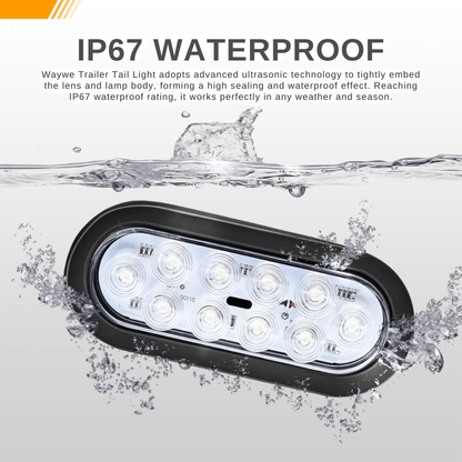 Waywe 6Inch Oval Trailer Tail Light 2PCS 10LED White Reverse Back Up Lights w/Surface Mount Grommets Plugs IP67 Waterproof for Truck RV Tractor